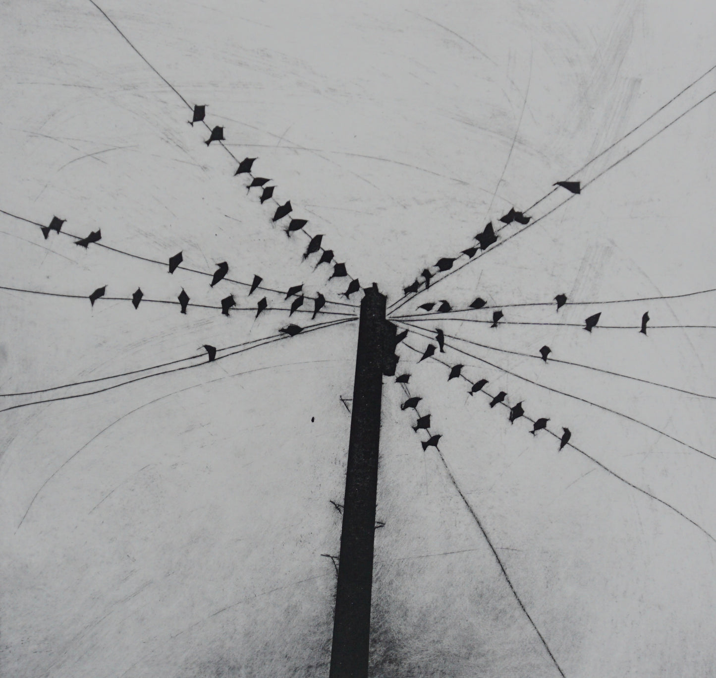 The Gathering