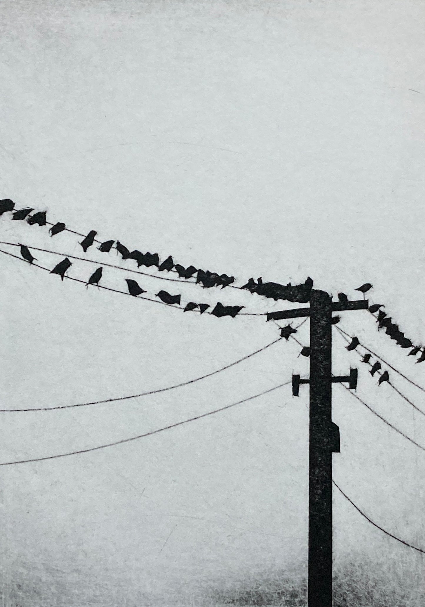The Morning Meeting