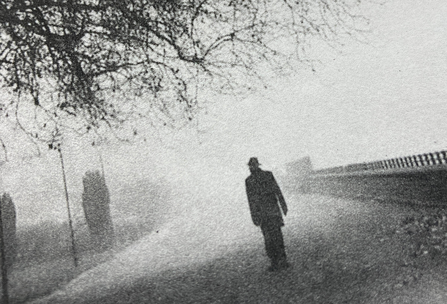 Into The Mist