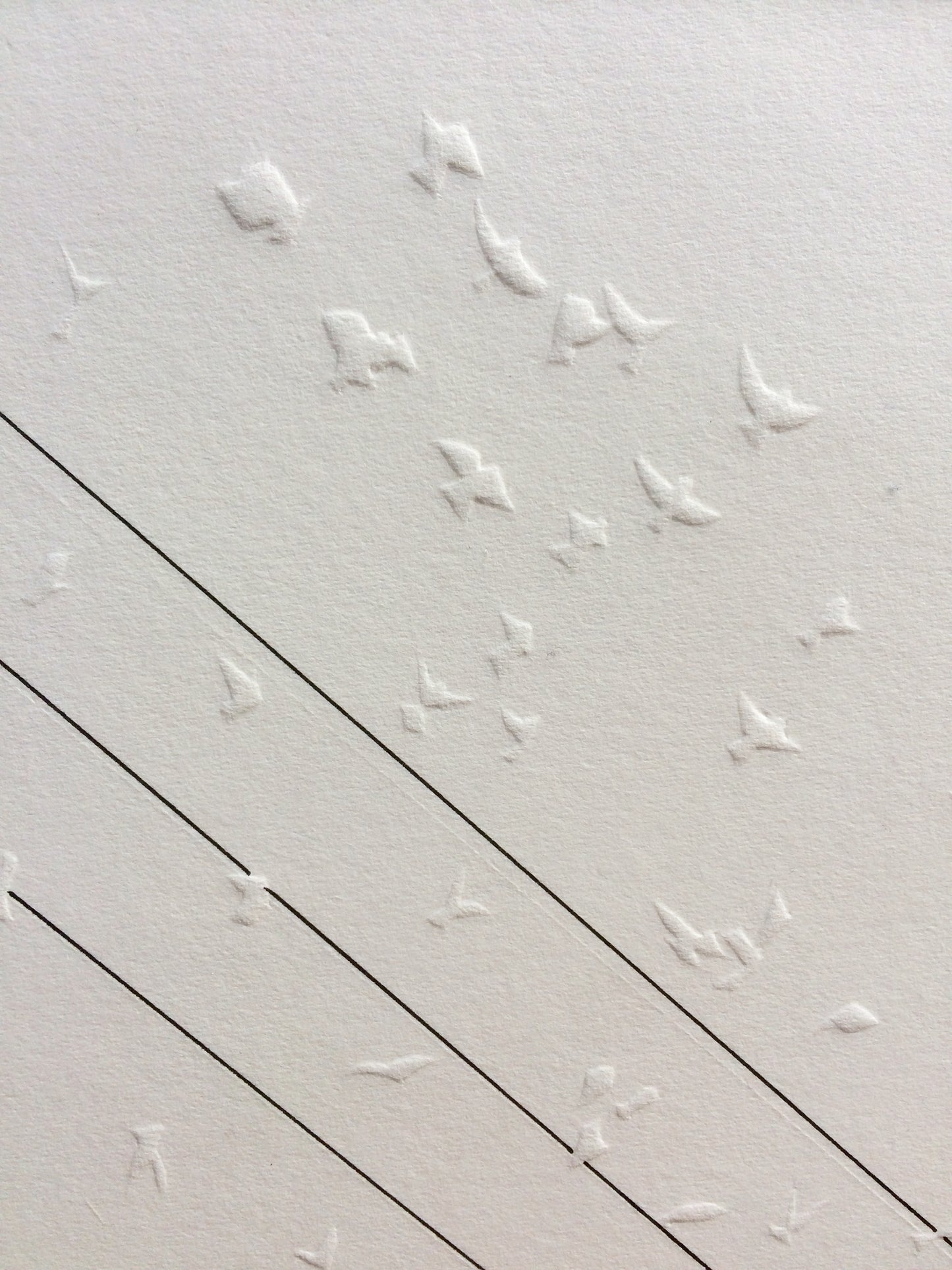 When Doves Fly