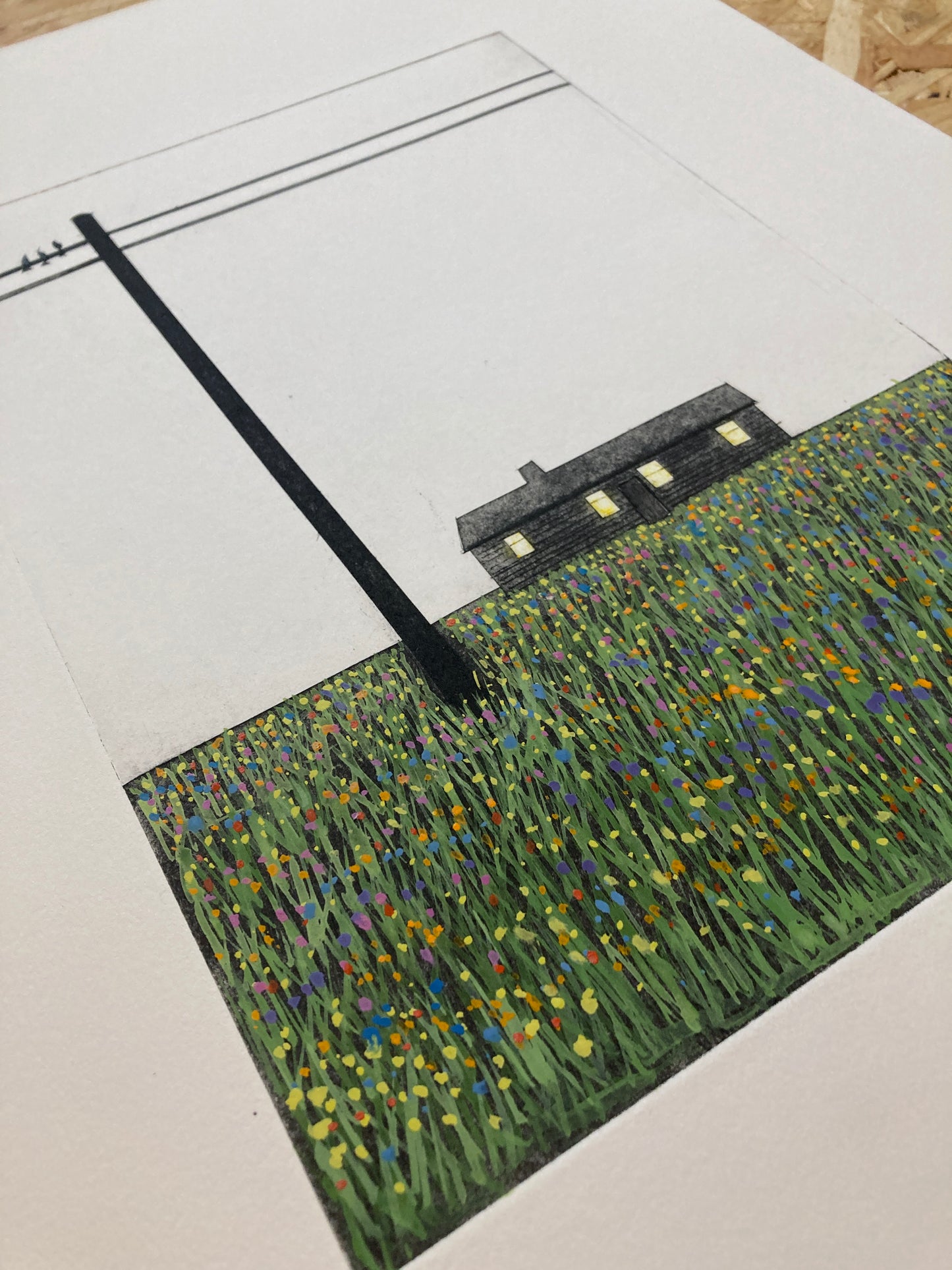 Wild Flower Meadow