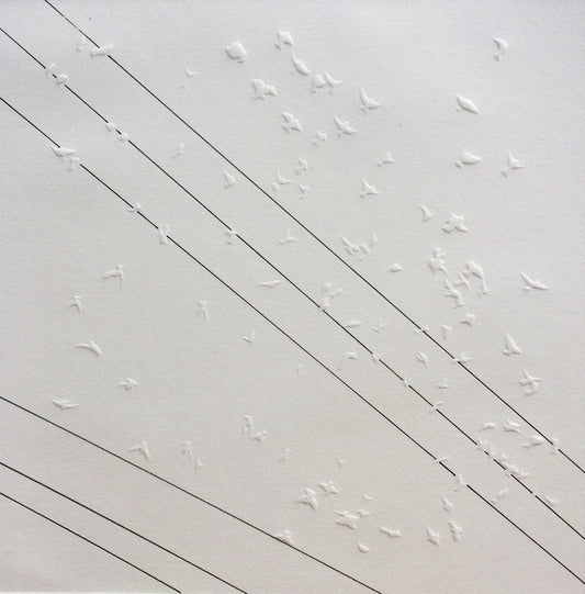 When Doves Fly