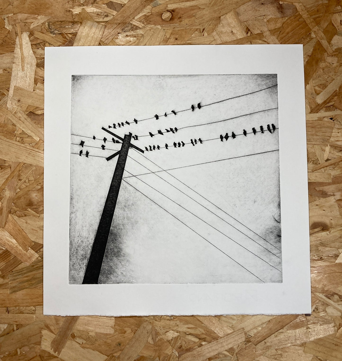Birds On A Wire