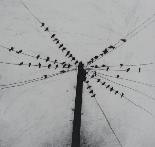 The Gathering