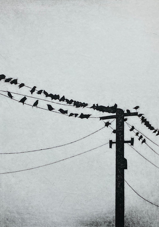 The Morning Meeting