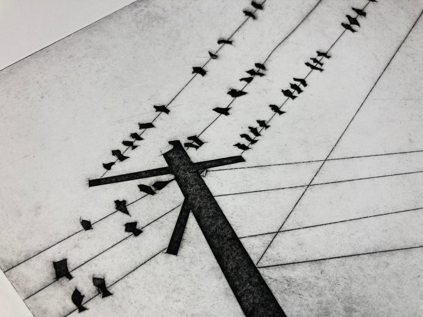 Birds On A Wire